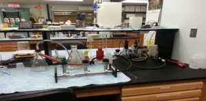 Total Suspended Solids and Fecal Coliform Analysis area