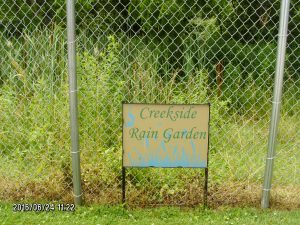 The Creekside Rain Garden captures and treats rainwater from the rear driveway area.