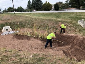 Two Township workers wearing safety green shirts and blue jeans planting cat tails inside of a rain garden.