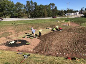 Six Township employees planting flowers inside of a rain garden.