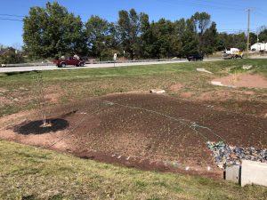 Picture of a completely planted rain garden containing 1,500 red, white and blue flowering plants.